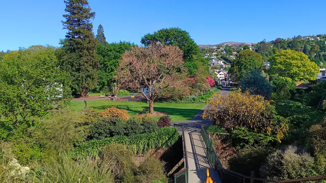 Dunedin Botanic Garden Lookout