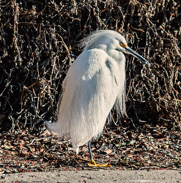 Aliso Creek Bike Trail