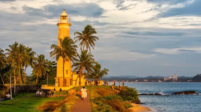 Thambili House by Edwards Collection