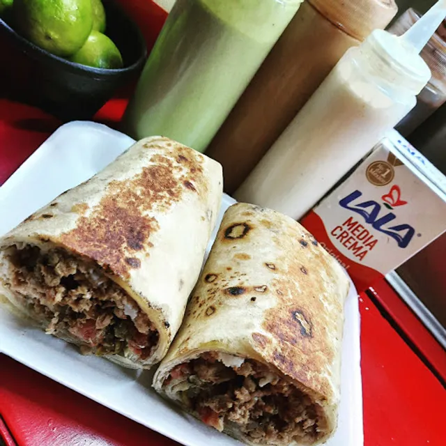 Burros percherones Los Campeones