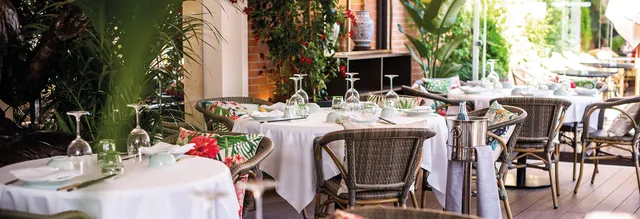 Shanghai mama (Moraleja Garden)