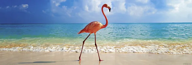 Pink Flamingo Nest - Design Apartment