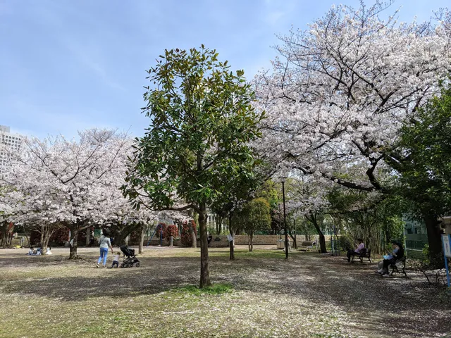 Kamezuka Park