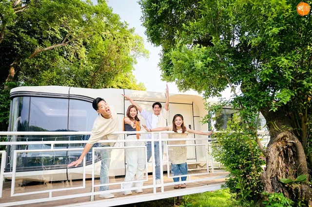 Park Nature Hillside