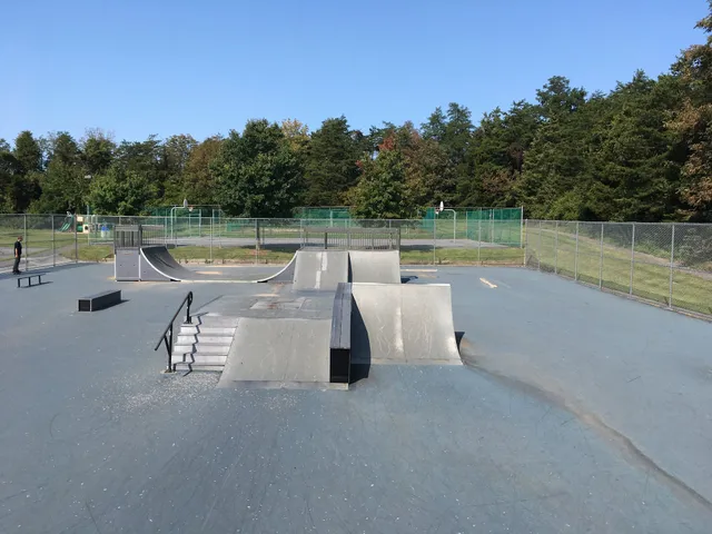Pineland Park Skatepark