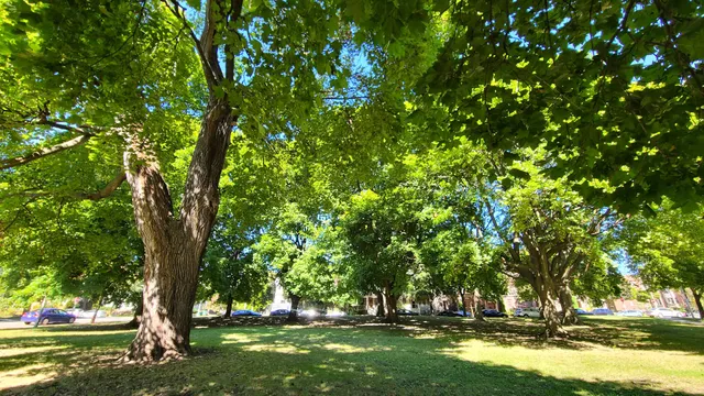 Prospect Triangle Park