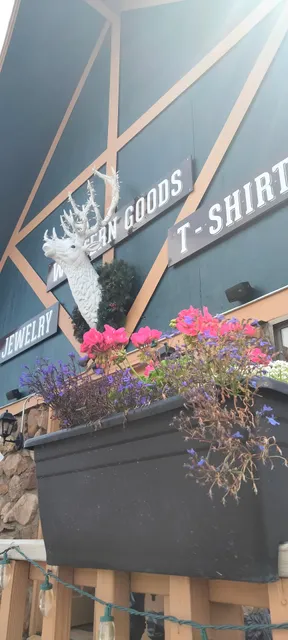 Wild Horse Gift Shop