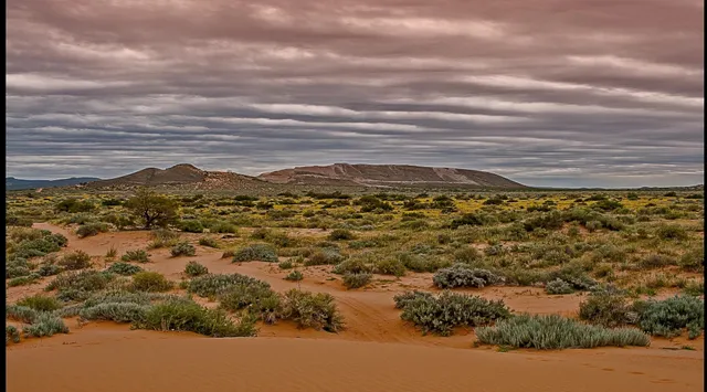 Red Sands South