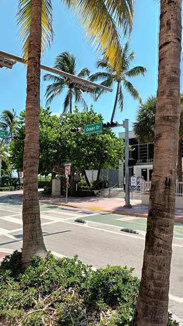 Discovery Miami Beach