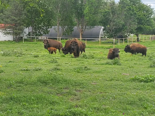 La Hacienda greenhouse