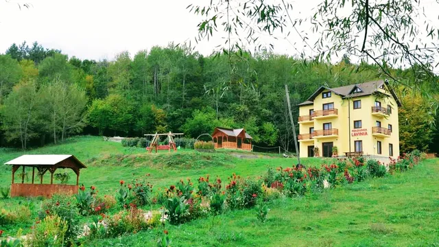 Pensiunea Lavinia