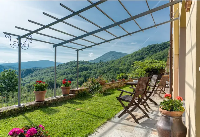 Porcigliano Olive Grove