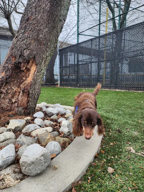 Sgt. Vincent J. Olivia Mini Dog Park