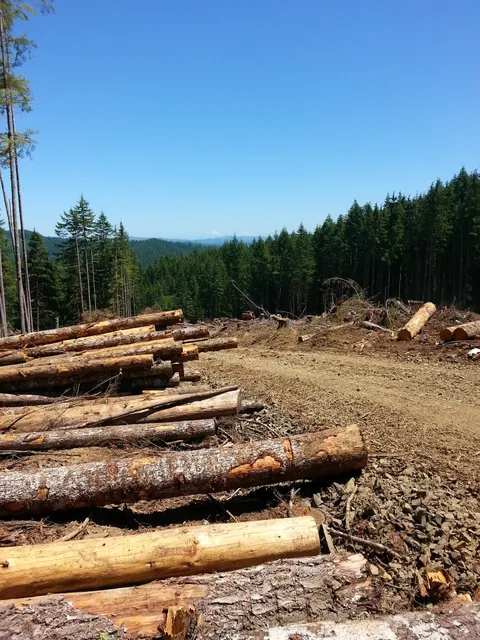 Oregon Department of Forestry Astoria District