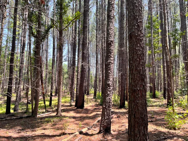 Eno River State Park Cabelands Access