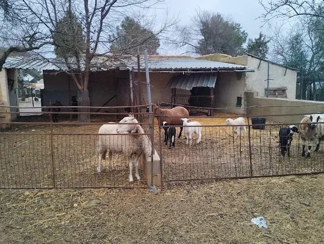 Granja Escuela "El Regajo"