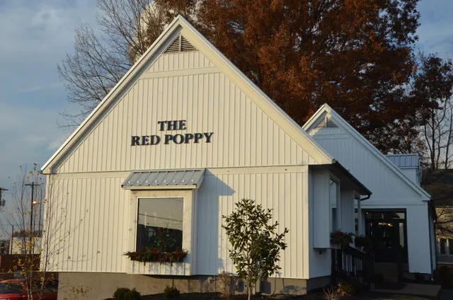 The Red Poppy