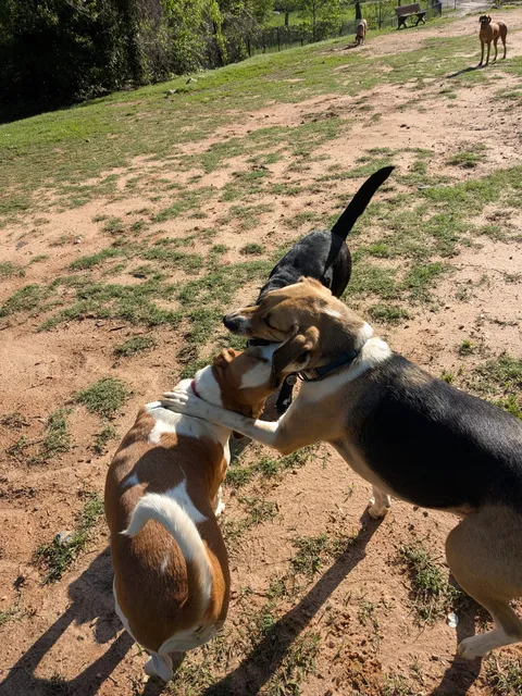 Freedom Barkway Dog Park
