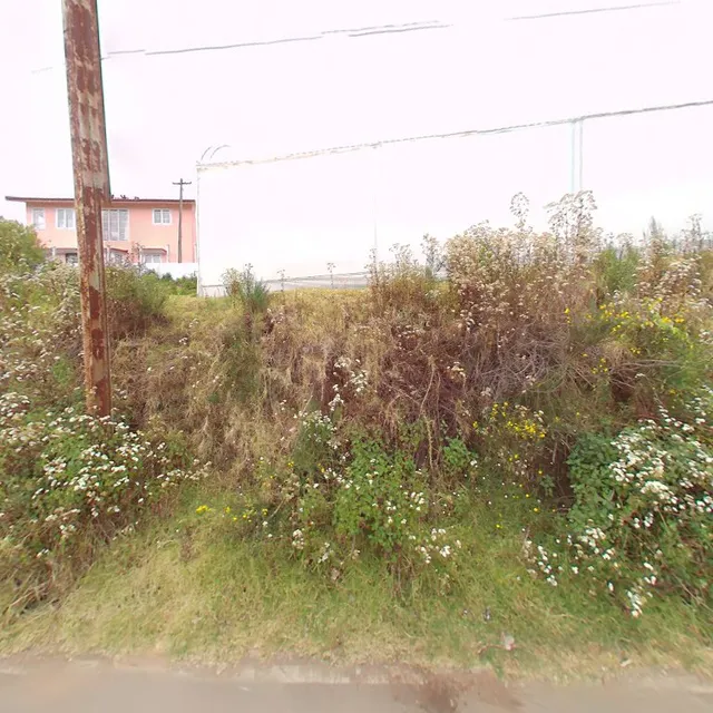 Adlers Room Restaurant