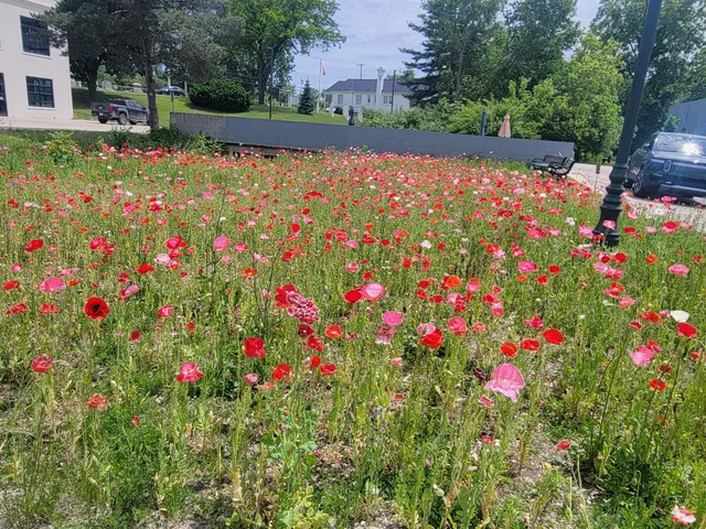 Village Arts Factory