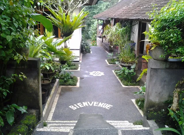 Rumah Keluarga Bali - Homestay