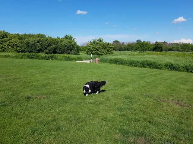 Hammel Woods Dog Park