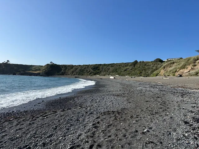 Noyo Beach Off-Leash Dog Area