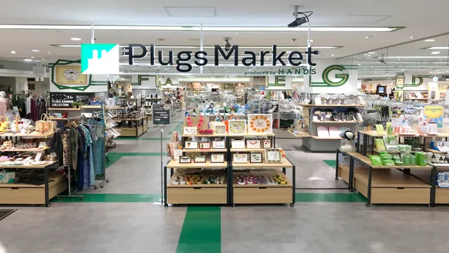 Hands Plugs Market Shimonoseki Store