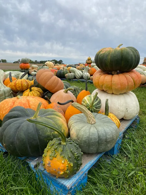 East Union Farms Pumpkin Patch