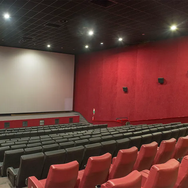 Notorius Cinemas Ferrara