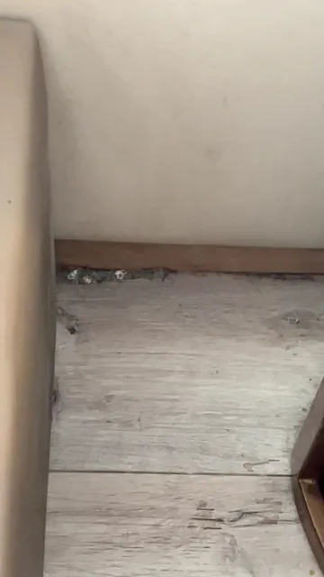 MySea Nha Trang SuperView Apartments