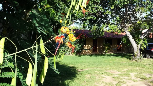 Chalés Hibiscus - ar, cozinha e banheiro privados, estacionamento interno.
