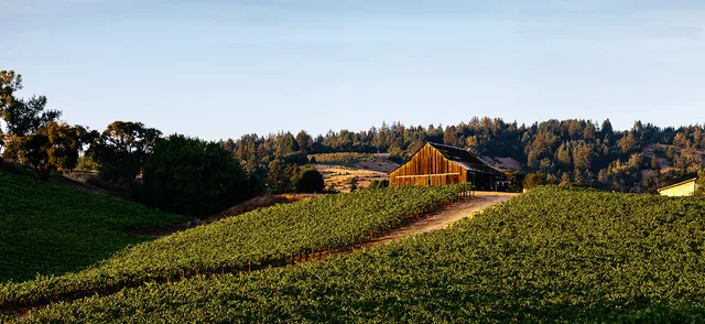 Maggy Hawk Wines Tasting Room