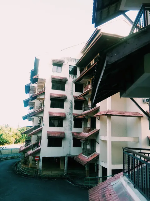 VITATREE COTTAGE ( GUEST HOUSE )