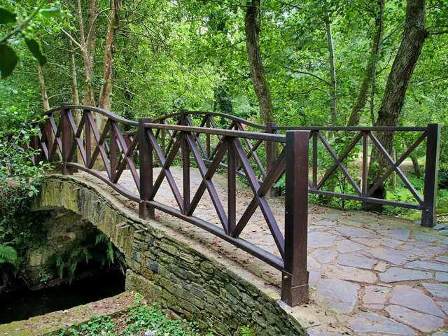 Siaba Pensión Boutique