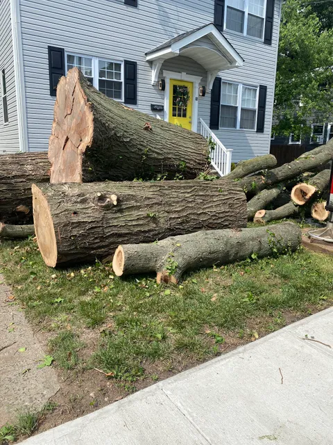 Tames Tree Services Masonry & Landscaping in New Jersey