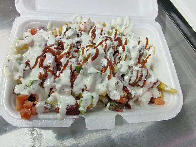 Fusion gyro (Halal food)