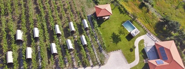 Cimo da Vinha - Nature Spot