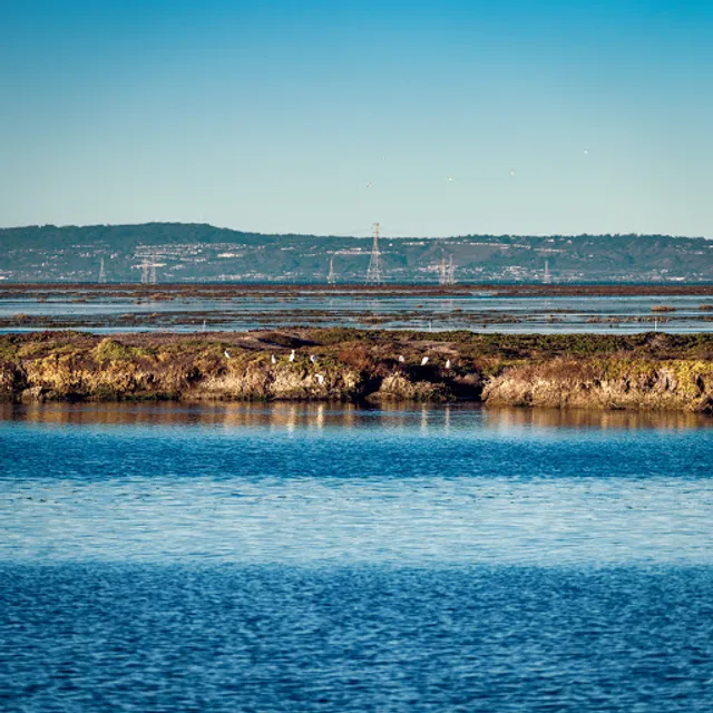 Bair Island Wildlife Refuge & Trail