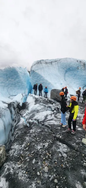 Alaskas Finest Tours & Adventures