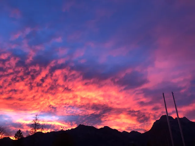 Ferienwohnungen Reiss