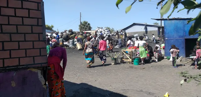 Garden Charcoal Market