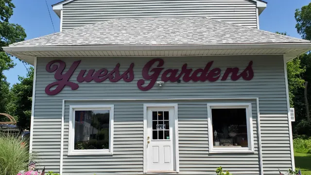 Foti Flowers At Yuess Gardens