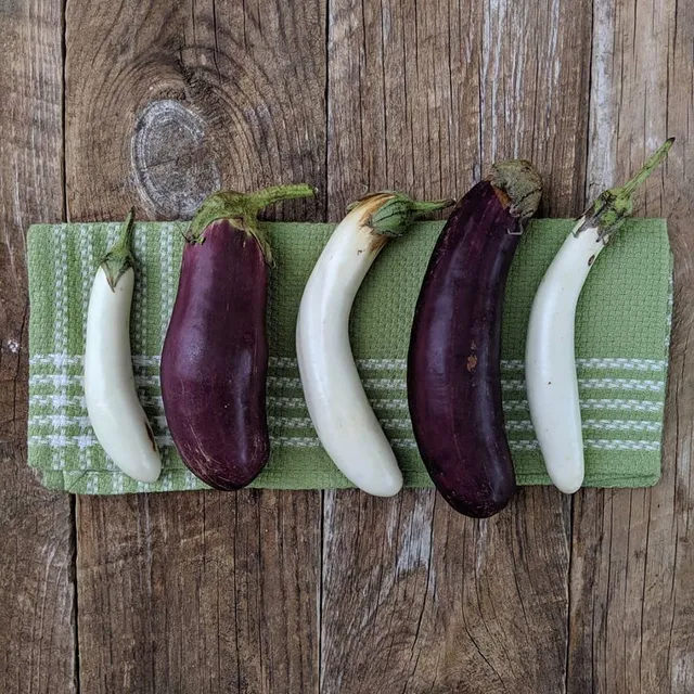 Burke Area Farmers Market