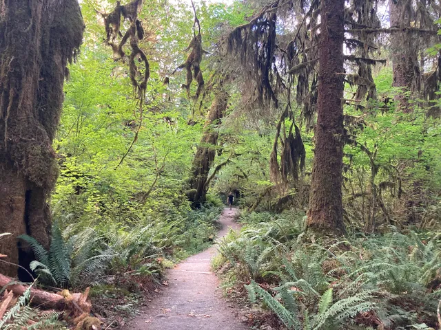 Spruce Nature Trail