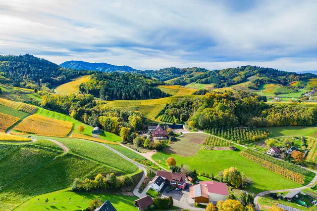 Josef Huber - Weinbauer