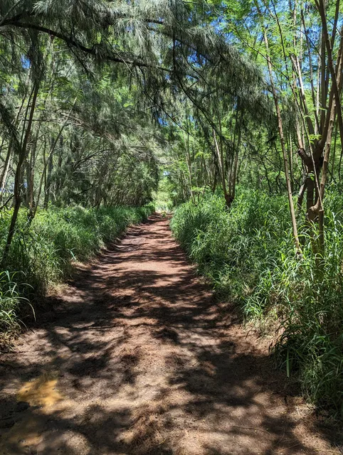 Maha'ulepu Heritage Trail