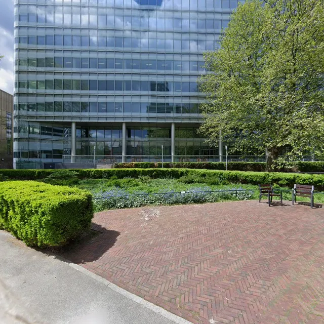 Liu International UK Ltd