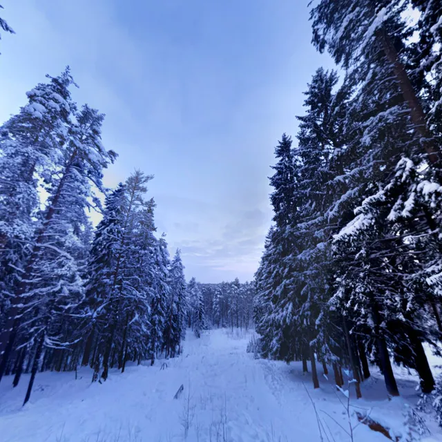 Сноупарк RTF WOODPARK