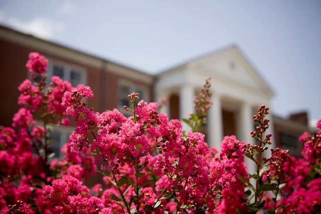 University of Tennessee at Martin